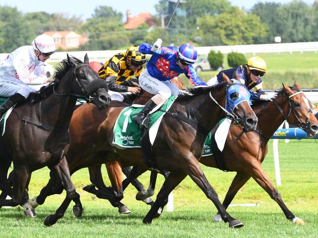 Ayrton wins the John Dillon Stakes at Caulfield in January. Picture: Brett Holburt/Racing Photos