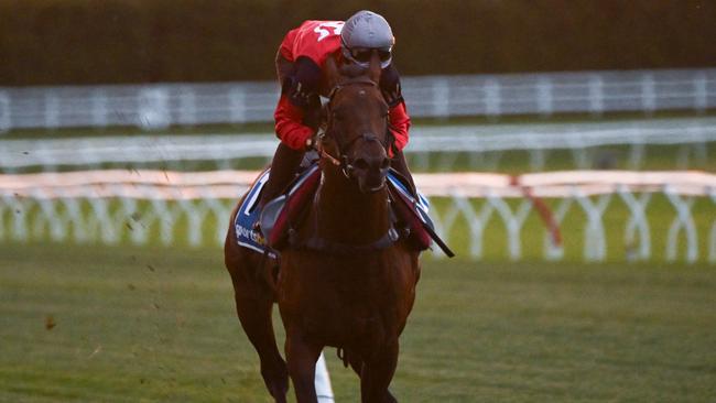 CF Orr Stakes contender Schwarz galloped strongly at Caulfield on Tuesday morning. Picture: Getty Images