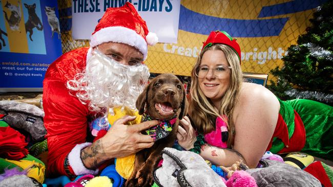 Santa Paws at the Gold Coast Animal Rehoming Centre - Pet Circle team members Shane Binns and Danielle Odgers with puppy Linkin and donated toys. Picture: Nigel Hallett