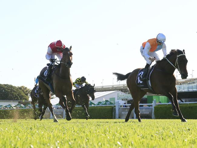 Montefilia wins the Spring Champion Stakes (Photo Getty Images)