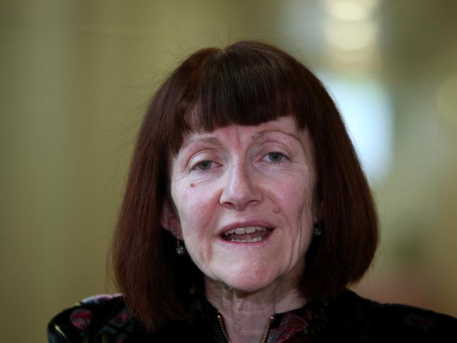 Senator Rachel Siewert speaking at a doorstop at Parliament House in Canberra.