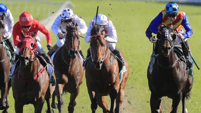 Redzel (left) held off the fast-finishing Pierata to win his third Concorde Stakes. Picture: Getty Images