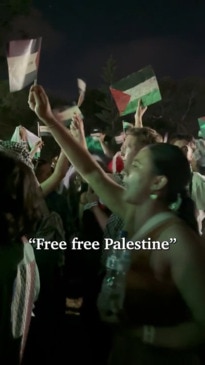 Pro-Palestinian protesters disrupt WOMAD act Ziggy Marley