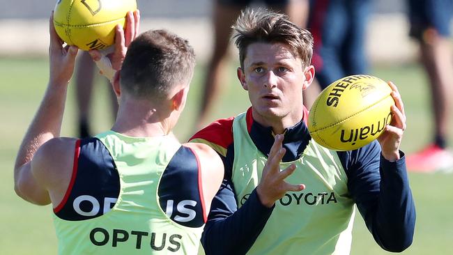 Matt Crouch and Rory Laird could combine in the Crows midfield this year. Picture: Sarah Reed