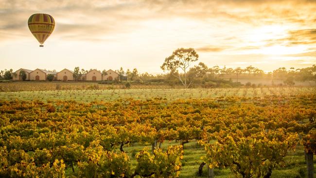 A hot-air balloon over the Barossa. Picture: Tourism SA