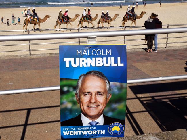 Camels carry tourist past an election placard outside a voting station in the Sydney suburb of Bondi Beach. Picture: AFP PHOTO / William West