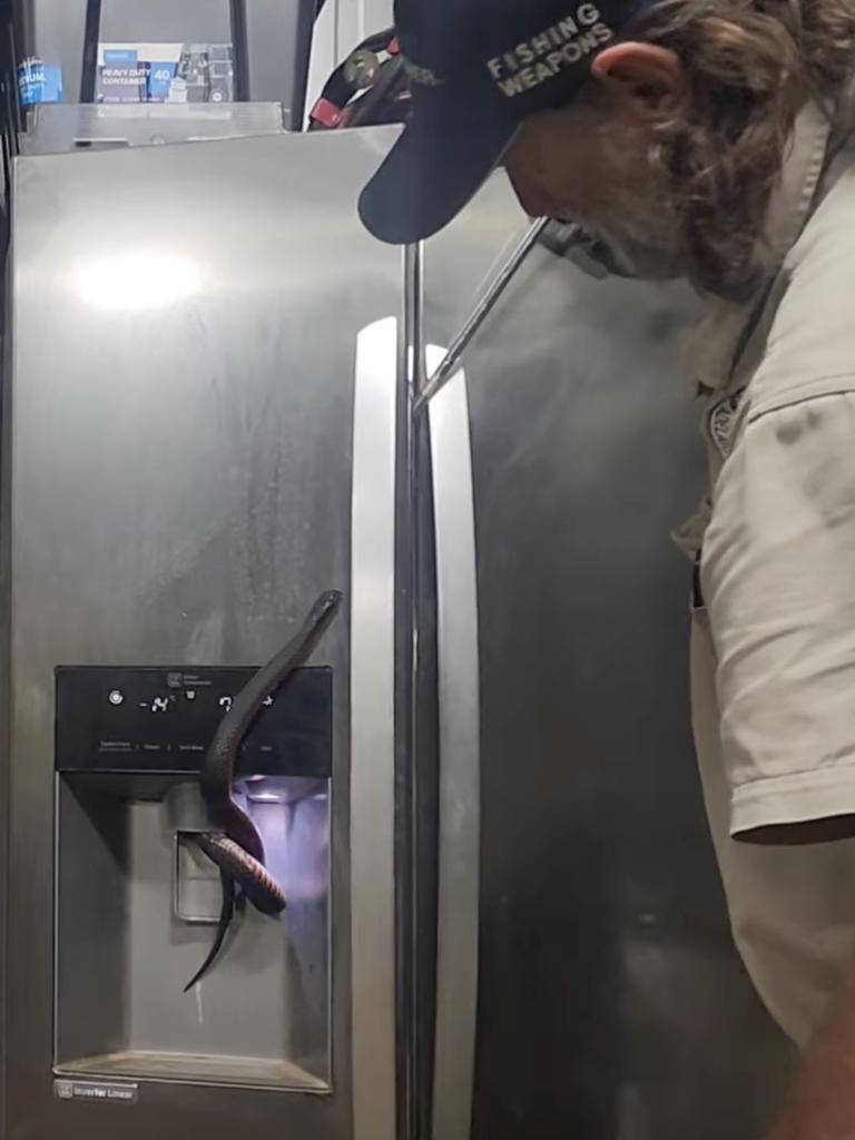 An Adelaide Hills resident says they got the shock of their life when a snake came crawling out of their fridge’s ice dispenser. Picture: Adelaide Hills Snake Catcher.