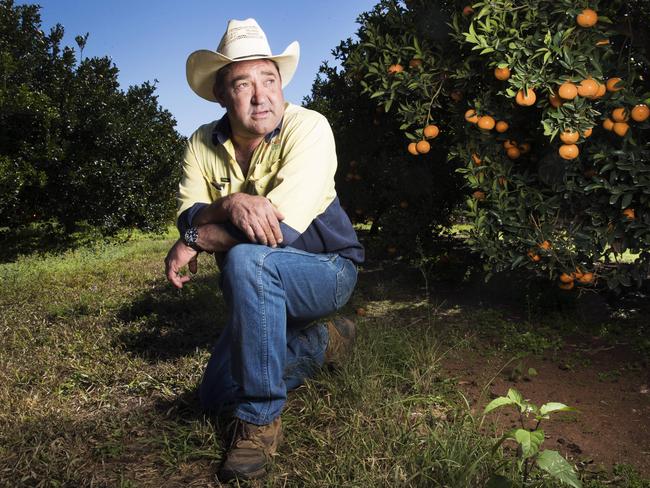 Quebec Citrus grower Troy Emmerton says the solution is a “no-brainer”.