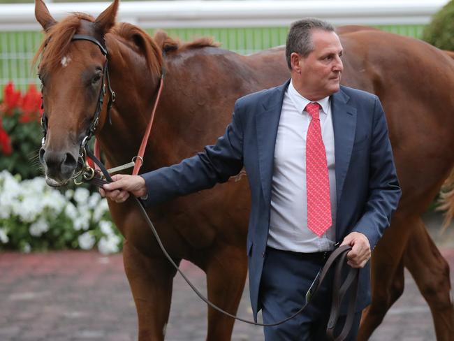 Trainer Grahame Begg after Written By took out the Blue Diamond Stakes in February.