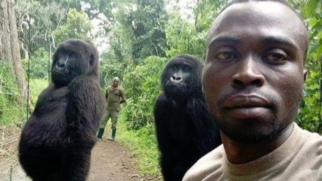 This selfie received thousands of likes with many thanking the rangers for protecting the animals. Picture: Facebook