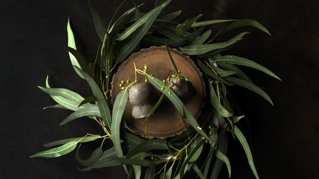 “Gumnuts” tangled in a wreath of eucalyptus from Melbourne’s Vue de Monde.