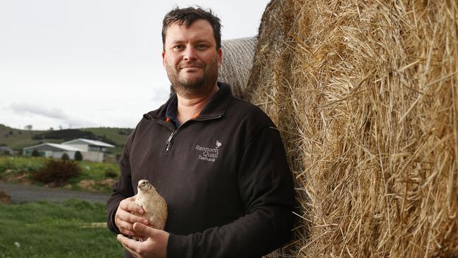 Daniel Millar owner of Rannoch Quail at Tea Tree that farms Japanese quail. Picture: Nikki Davis-Jones