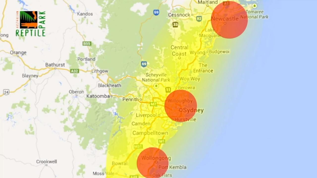 Fires, floods, now funnel-web spiders: Australia facing arachnid boom -  National