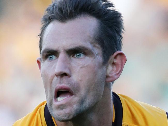 Hawks Luke Hodge handballs during the game between Hawthorn and St Kilda at Aurora Stadium
