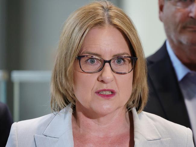 Damien Hardwick hit back at Jacinta Allan’s comments. Picture: David Crosling