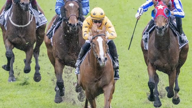 James McDonald rides Royalzel to a comfortable victory at Rosehill. Picture: Getty Images