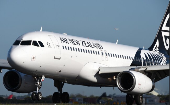 Mr Fifita was arrested after the plane was forced to returned to the gate. Picture: AAP