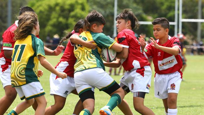 Pacific Youth Rugby Festival - U/10 Boys QLD Tonga Vs Australian Superstars Brendale Friday 27th October 2023 David Clark