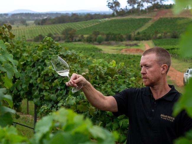 Briar Ridge Vineyard wine maker Andrew Duff.