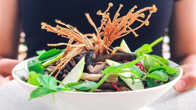 The vegan special from Cafe Nineteen — sauteed mushroom bowl on quinoa, baby spinach, carrot, beetroot, and apple salad, tossed with an orange and mango dressing.