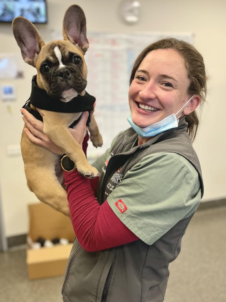 Late Adelaide veterinarian Dr Sophie Putland with Frenchy the dog. Picture: Supplied by family