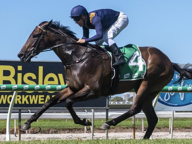 Jockey Ryan Maloney rode the Toby and Trent Edmonds-trained Jetty to a win in the QTIS Two-Years-Old Handicap (1200m) at the Gold Coast Turf Club on April 17, 2020. Picture credit: Greg Irvine.