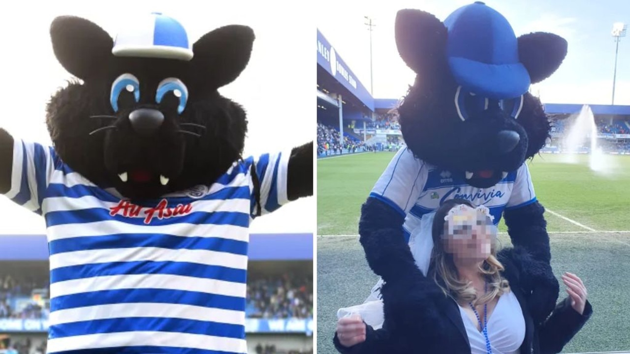 QPR mascot Jude the Cat axed after warnings for flirting with female ...