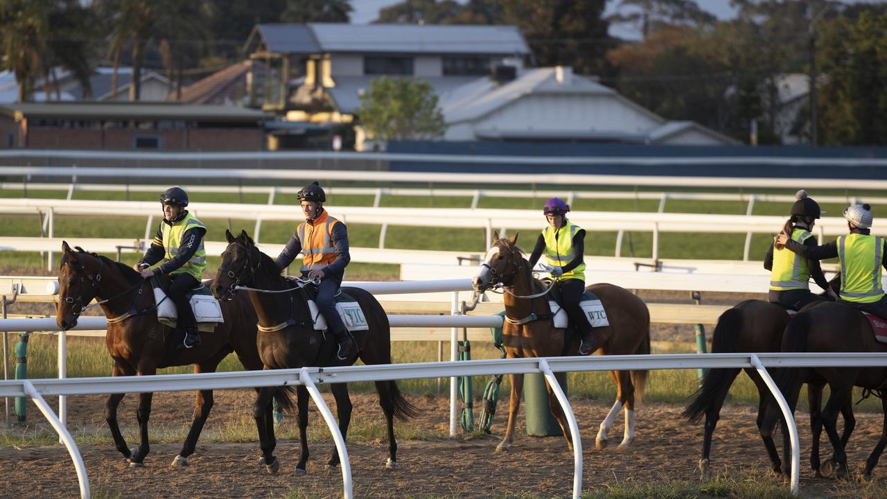 A behind the scenes look at race horses as they undergo training in the lead up to the Melbourne Cup day event at Morphettville racecourse in Adelaide. Picture: NCA NewsWire / David Mariuz