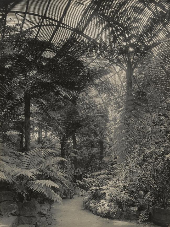 The fernery in 1903.