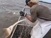 Claims NT’s marine species plan has ‘more holes than Swiss cheese’