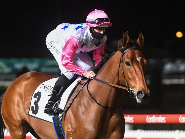 The Inferno ridden by Damian Lane heads to the barrier before the running of the Charter Keck Cramer Moir Stakes at Moonee Valley Racecourse on September 24, 2021 in Moonee Ponds, Australia. (George Salpigtidis/Racing Photos via Getty Images)