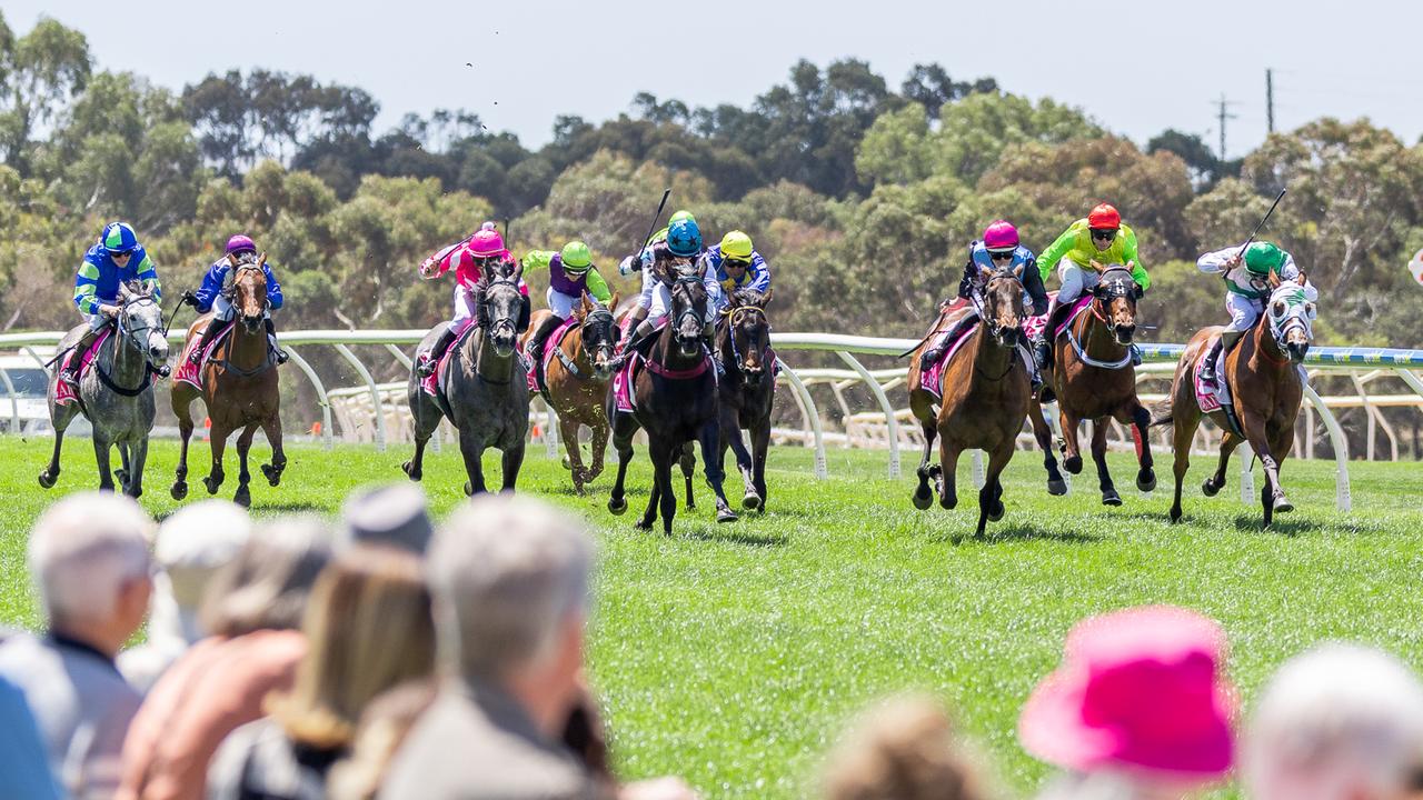 Racing SA announce agreement to purchase land to expand Strathalbyn racecourse