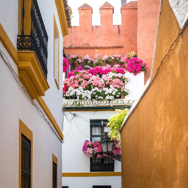 One of the most beautiful corners of the Barrio de Santa Cruz in Seville, Spain.