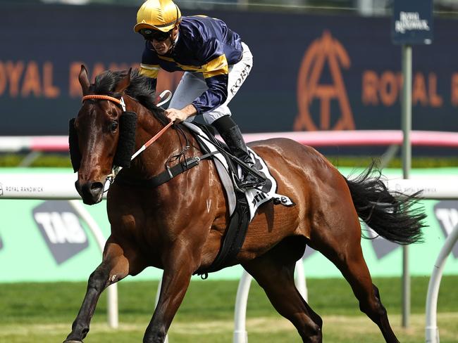 Rosehill Guineas runner-by-runner form analysis and tips