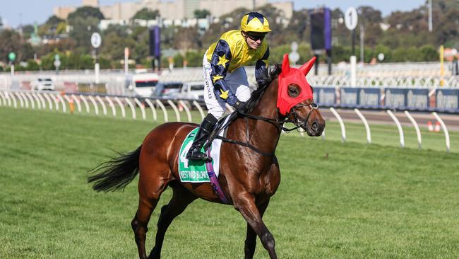 West Wind Blows on the way to the barriers for the TAB Champions Stakes at Flemington. Picture: George Sal–Racing Photos