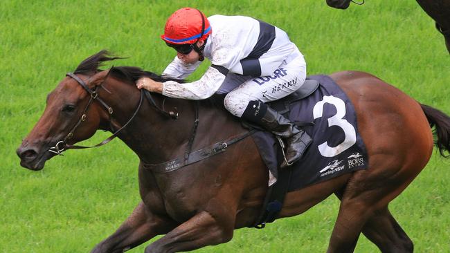 Gosford races; Irish trainer Edward O’Rourke joins Sydney training ...