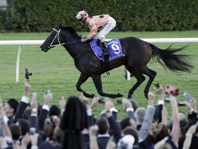 Black Caviar’s final triumph when she bowed out unbeaten in 25 consecutive races.