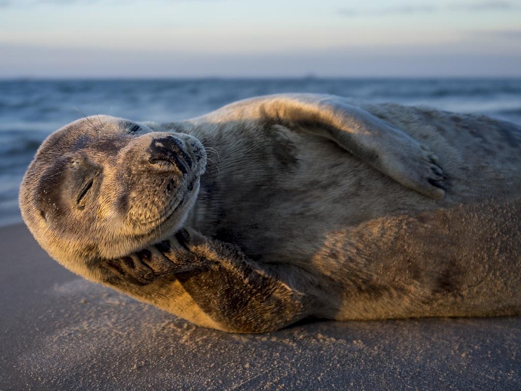 National Geographic selects 'Pictures of the Year' photo contest