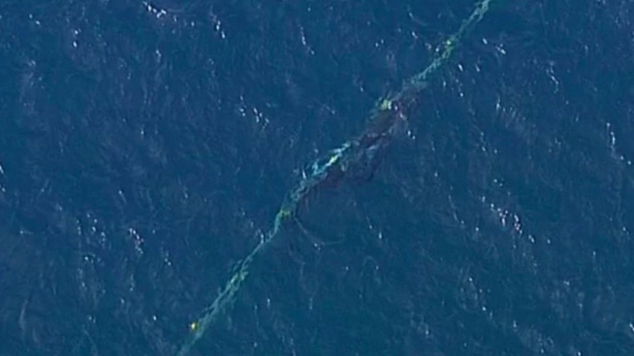 A baby whale became tangled in a shark net off the Gold Coast this morning.