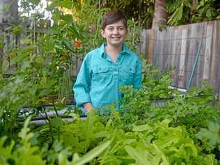 Anya Broadbent started her own botanicals business. Picture: Jann Houley