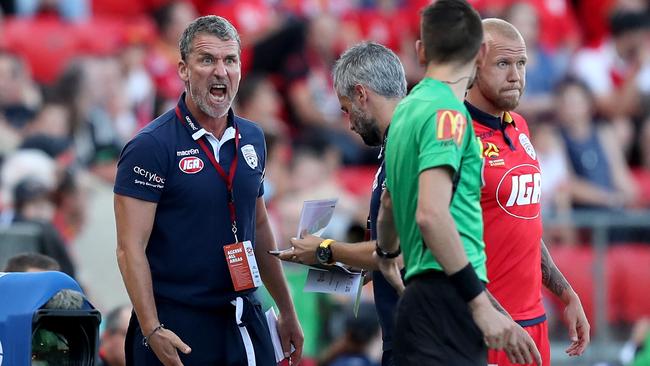 Adelaide United coach Marco Kurz reacts.