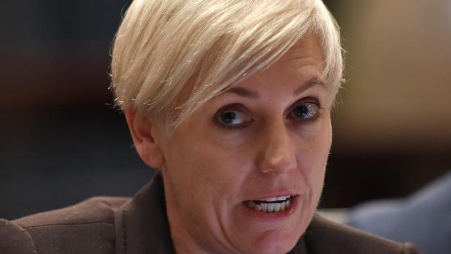 Greens MP Cate Faehrmann, who chaired a parliamentary inquiry into flood plain harvesting, said the NSW Government’s scrapped regulations were “secretive and opaque”. Picture: Steven Saphore