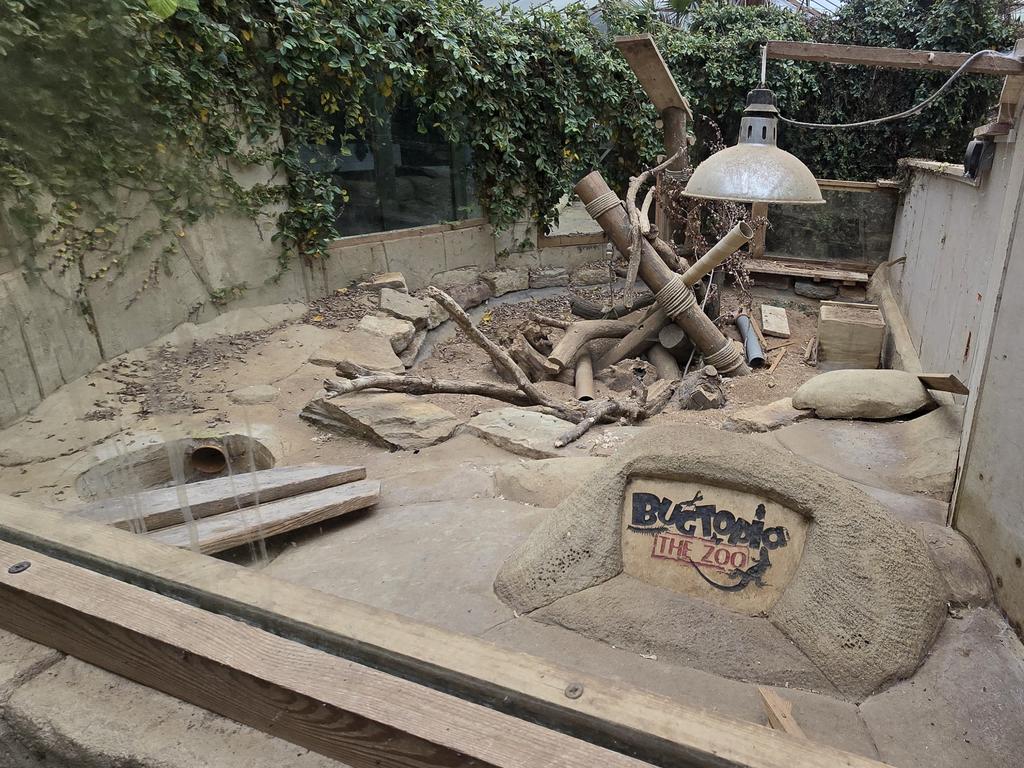 He was surprised that after two years since its closure it was still in ‘amazing condition’. Picture: Jam Press