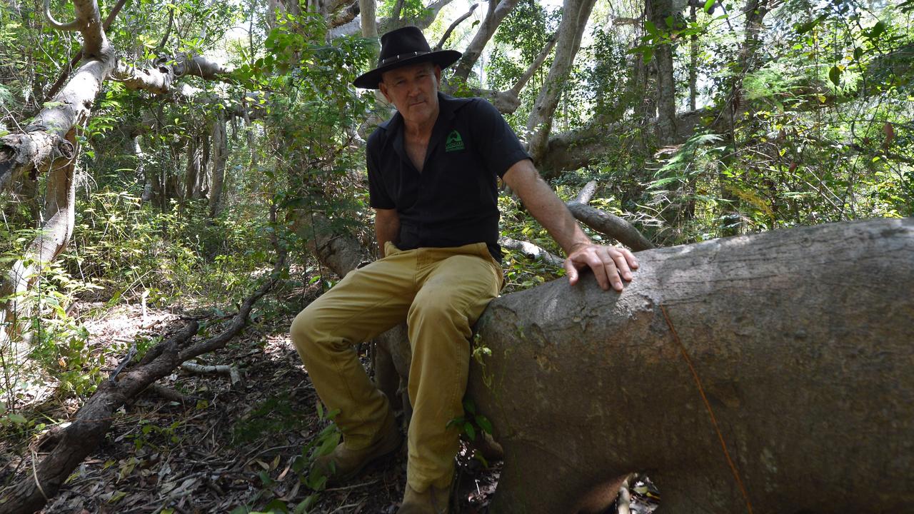 Mike Johnson from Landcare (pictured in a different forest) says he is gravely concerned about the loss of natural habitat as well as the risk of storms and cyclones.