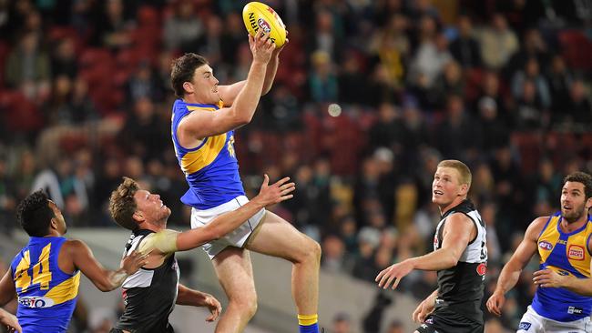 Brad Ebert was no match for Jeremy McGovern in the air. Picture: Getty