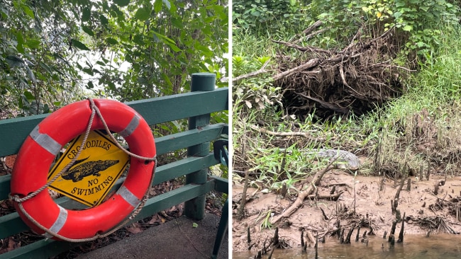 Croc spotting on the Daintree Rainforest Tour. Image: Leah Goulis / Kidspot