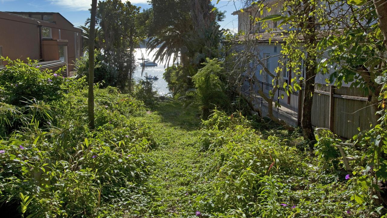 The gently sloping block is overgrown with lantana and ferns, but …