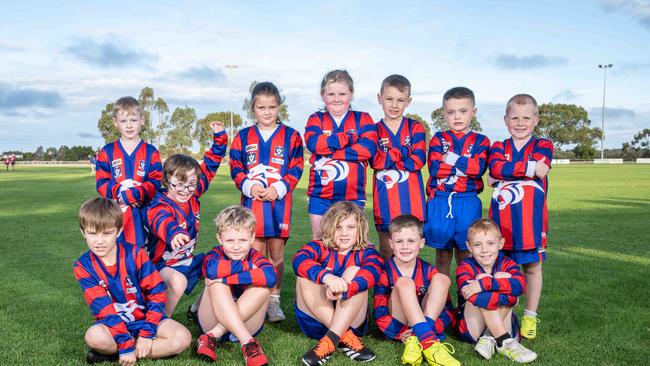 Bell Post Hill Panthers under-9 football team. Picture: Brad Fleet