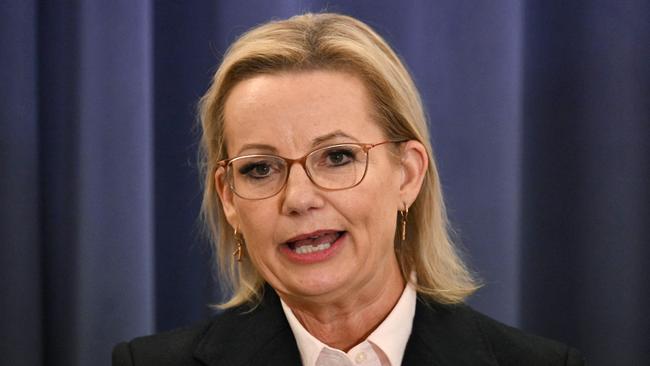 The new Liberal Party leader, Sussan Ley. Picture: AFP