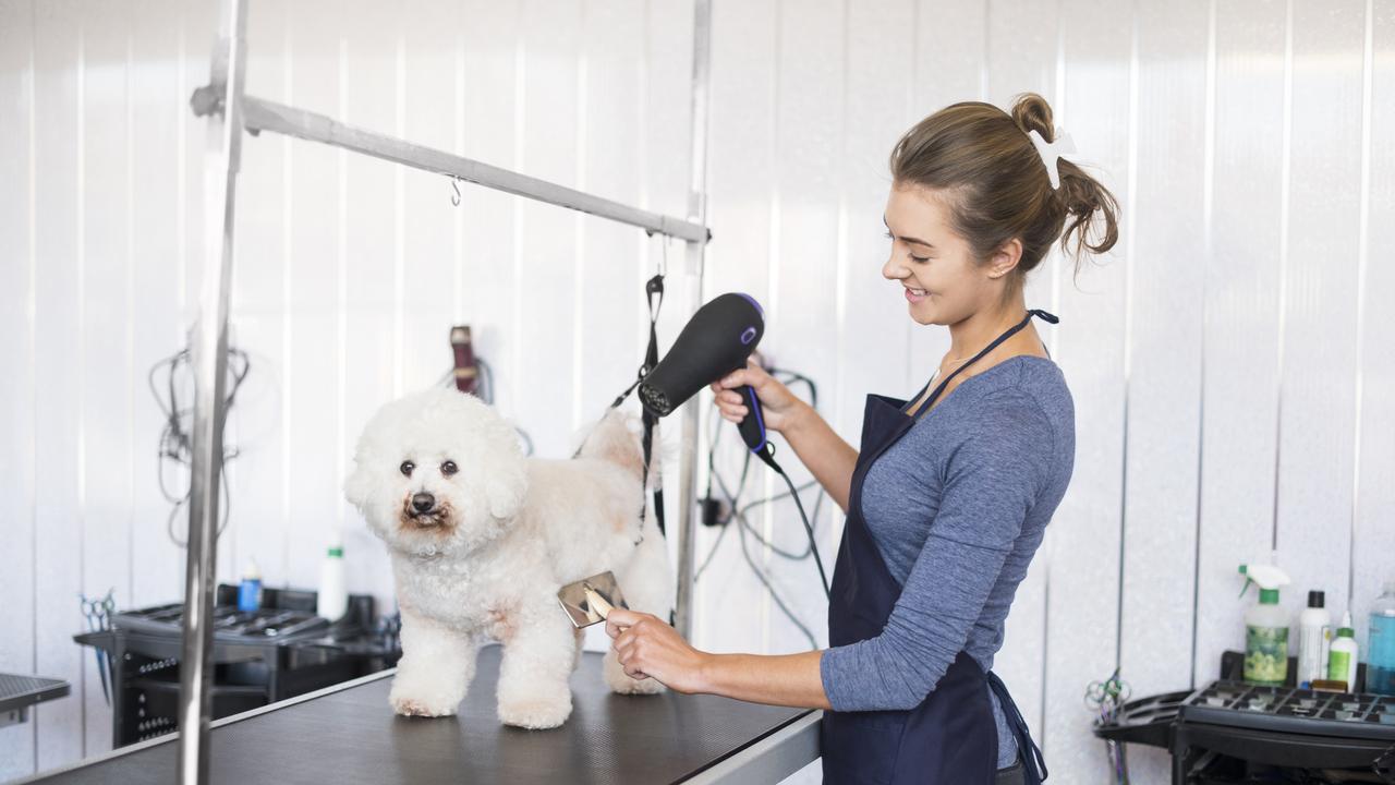 Vote in the poll for the best pet groomer in the Gympie region.